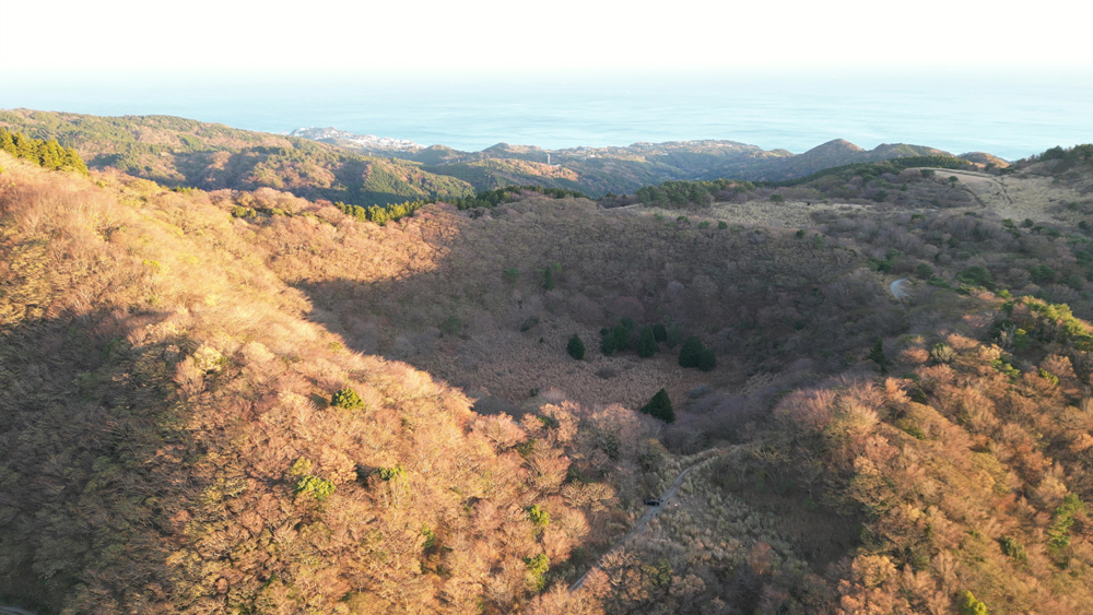 伊豆東部火山群